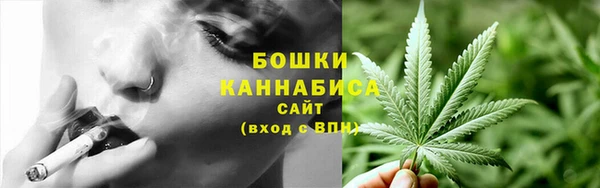 твердый Бородино