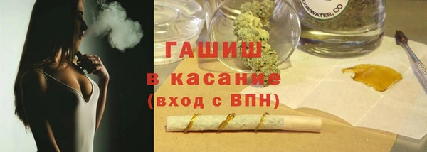 твердый Бородино