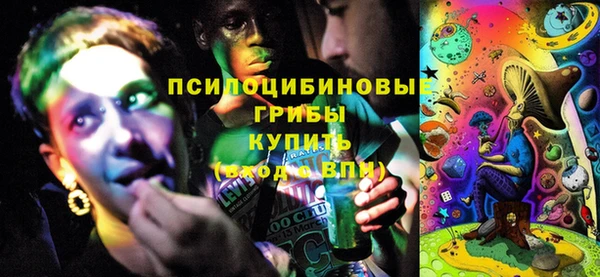 первитин Богородск