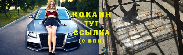 твердый Бородино