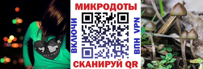 сколько стоит  Белозерск  Галлюциногенные грибы Cubensis 